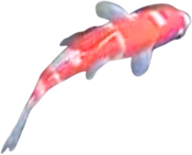 smallfish